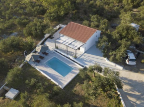 Olive Lounge House